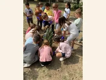 Zasadi i grizhi se za mirot 1