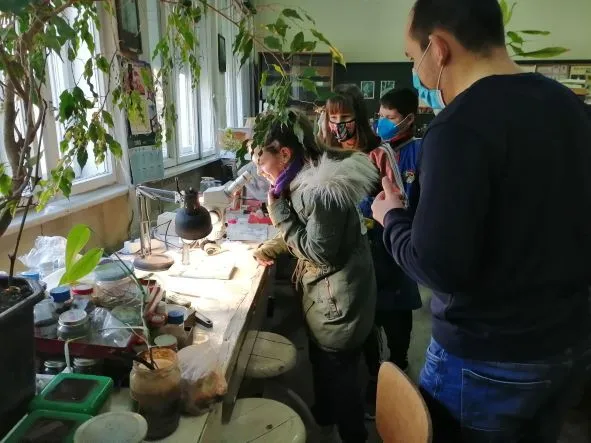21 Март-Меѓународен ден на шумите