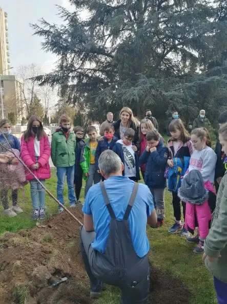 21 Март-Меѓународен ден на шумите