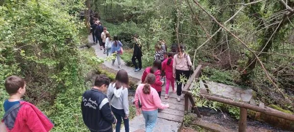 Настава во природа во Охрид