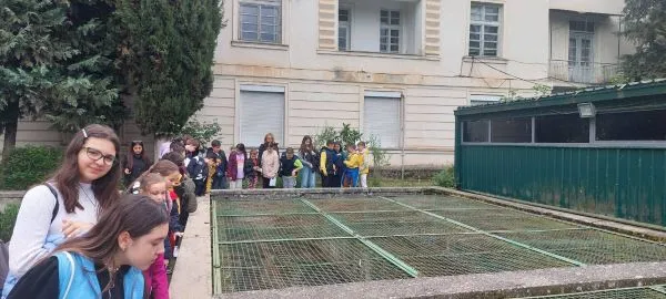 Настава во природа во Охрид